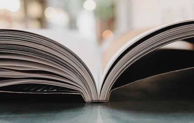 ENGLISH LITERATURE ENGLISH LITERATURE