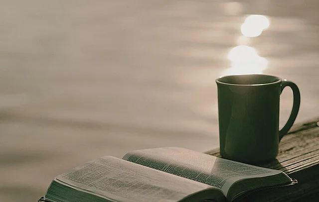 ENGLISH LITERATURE & TRANSLATION ENGLISH LITERATURE & TRANSLATION